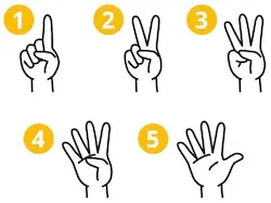 Learn Japanese image