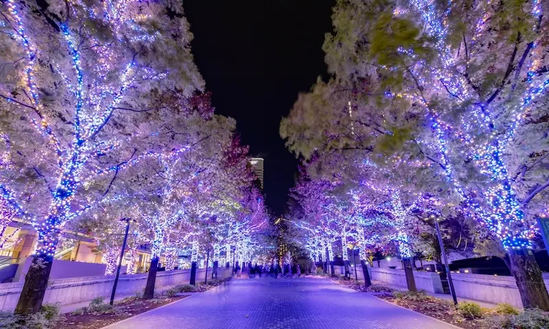 Christmas illuminations lighting up a city street in winter Japan