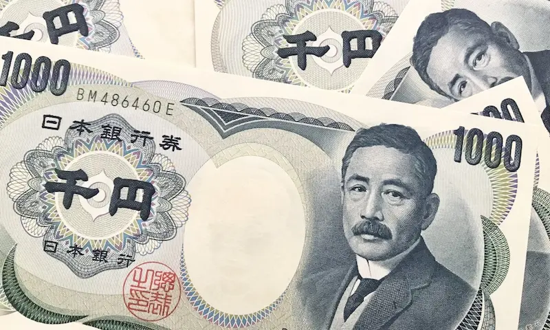 "Natsume Soseki, a face known to all Japanese, on a 1,000 yen bill."