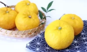 Bright yuzu citrus fruits used in Japanese winter traditions (tōji).